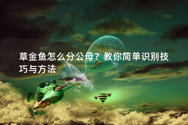 草金鱼怎么分公母？教你简单识别技巧与方法