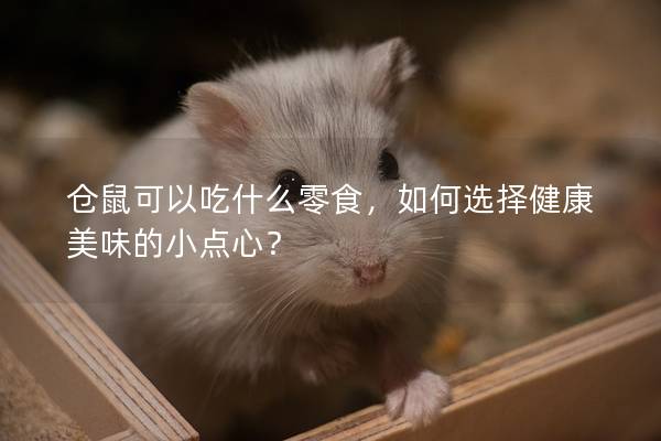 仓鼠可以吃什么零食，如何选择健康美味的小点心？