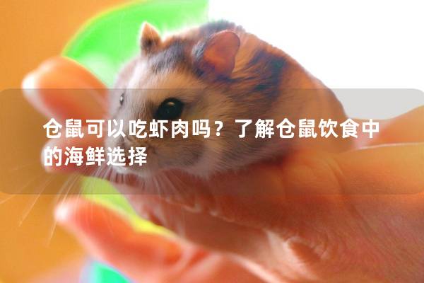 仓鼠可以吃虾肉吗？了解仓鼠饮食中的海鲜选择