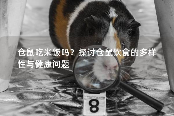 仓鼠吃米饭吗？探讨仓鼠饮食的多样性与健康问题