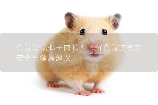 仓鼠能吃椰子肉吗？了解仓鼠饮食的安全与健康建议