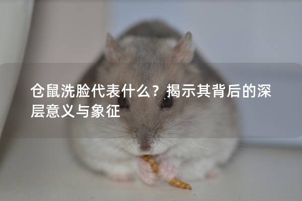 仓鼠洗脸代表什么？揭示其背后的深层意义与象征
