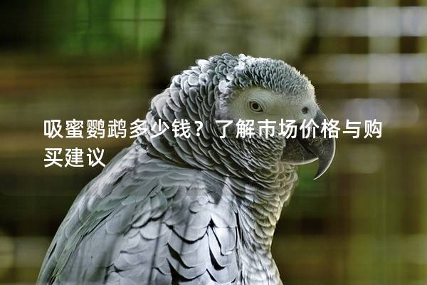 吸蜜鹦鹉多少钱？了解市场价格与购买建议
