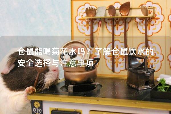 仓鼠能喝菊花水吗？了解仓鼠饮水的安全选择与注意事项
