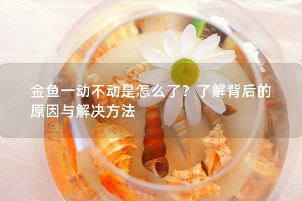 金鱼一动不动是怎么了？了解背后的原因与解决方法