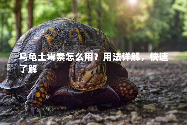 乌龟土霉素怎么用？用法详解，快速了解