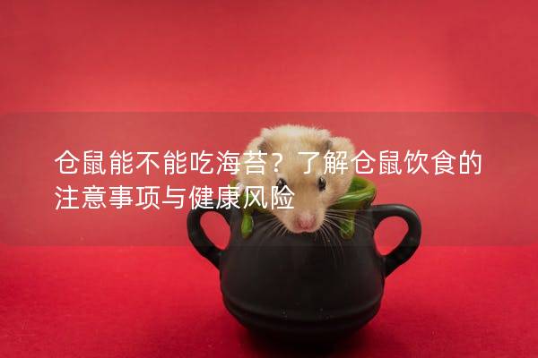 仓鼠能不能吃海苔？了解仓鼠饮食的注意事项与健康风险