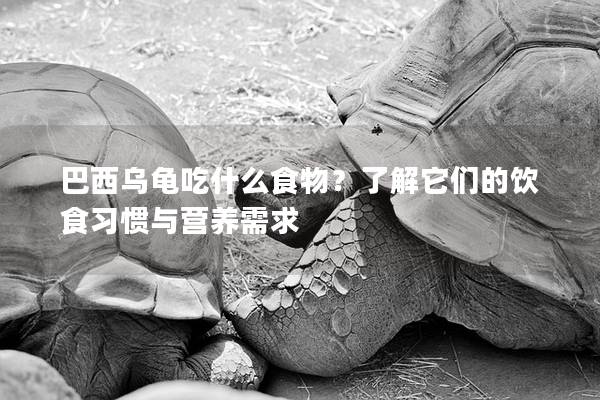 巴西乌龟吃什么食物？了解它们的饮食习惯与营养需求