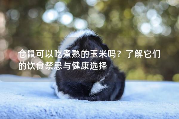 仓鼠可以吃煮熟的玉米吗？了解它们的饮食禁忌与健康选择