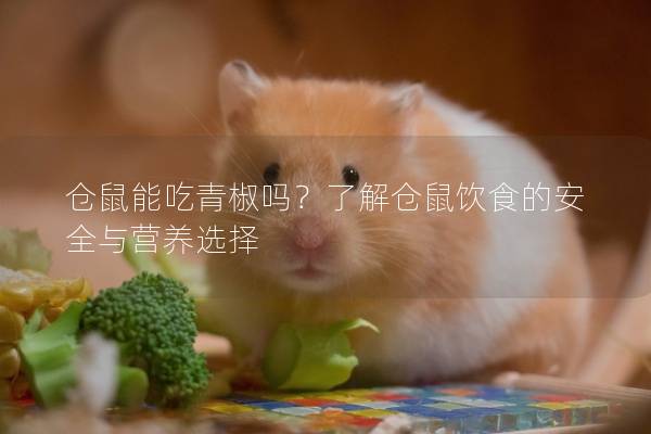 仓鼠能吃青椒吗？了解仓鼠饮食的安全与营养选择