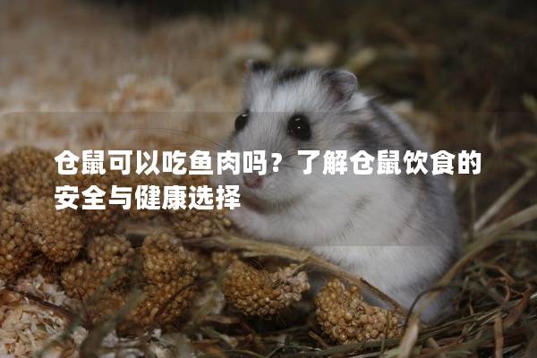 仓鼠可以吃鱼肉吗？了解仓鼠饮食的安全与健康选择