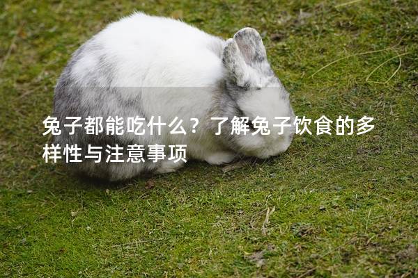 兔子都能吃什么？了解兔子饮食的多样性与注意事项