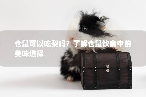 仓鼠可以吃梨吗？了解仓鼠饮食中的美味选择