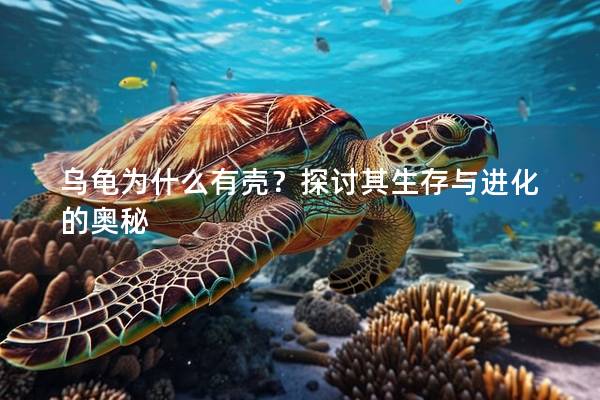 乌龟为什么有壳？探讨其生存与进化的奥秘