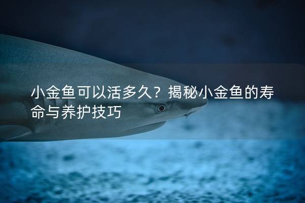 小金鱼可以活多久？揭秘小金鱼的寿命与养护技巧