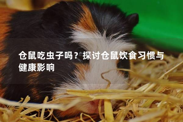 仓鼠吃虫子吗？探讨仓鼠饮食习惯与健康影响