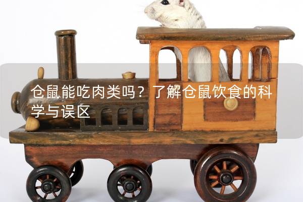 仓鼠能吃肉类吗？了解仓鼠饮食的科学与误区