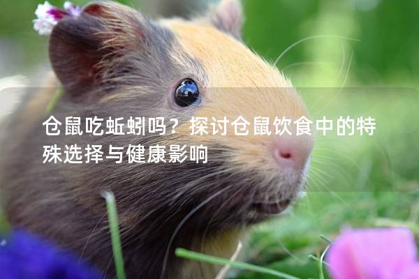 仓鼠吃蚯蚓吗？探讨仓鼠饮食中的特殊选择与健康影响