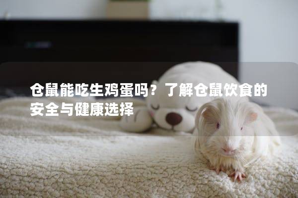 仓鼠能吃生鸡蛋吗？了解仓鼠饮食的安全与健康选择