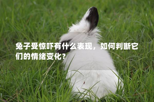 兔子受惊吓有什么表现，如何判断它们的情绪变化？