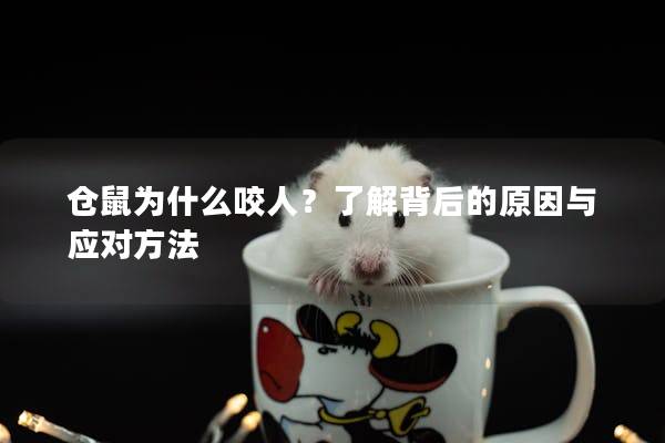 仓鼠为什么咬人？了解背后的原因与应对方法