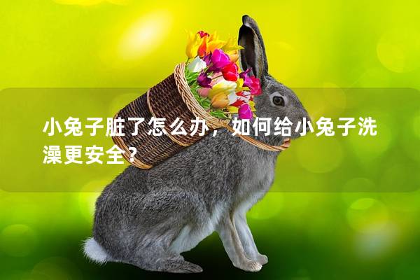小兔子脏了怎么办，如何给小兔子洗澡更安全？