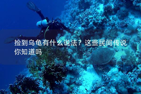 捡到乌龟有什么说法？这些民间传说你知道吗