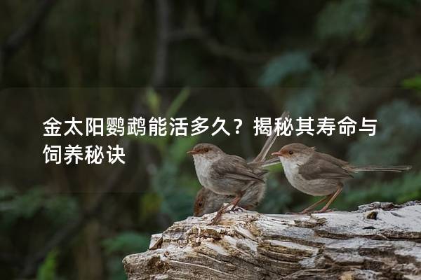 金太阳鹦鹉能活多久？揭秘其寿命与饲养秘诀