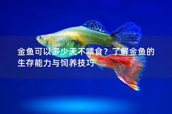 金鱼可以多少天不喂食？了解金鱼的生存能力与饲养技巧