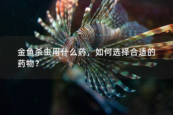 金鱼杀虫用什么药，如何选择合适的药物？