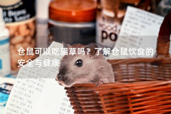 仓鼠可以吃猫草吗？了解仓鼠饮食的安全与健康