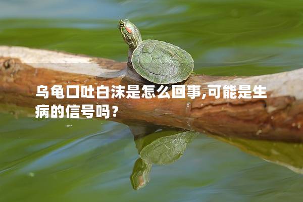 乌龟口吐白沫是怎么回事,可能是生病的信号吗？