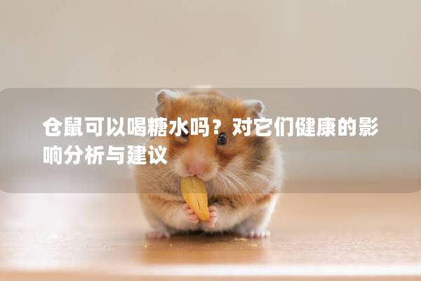 仓鼠可以喝糖水吗？对它们健康的影响分析与建议