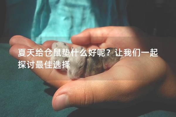 夏天给仓鼠垫什么好呢？让我们一起探讨最佳选择