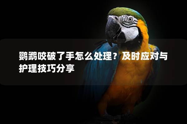 鹦鹉咬破了手怎么处理？及时应对与护理技巧分享
