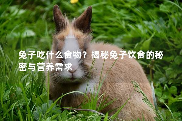 兔子吃什么食物？揭秘兔子饮食的秘密与营养需求
