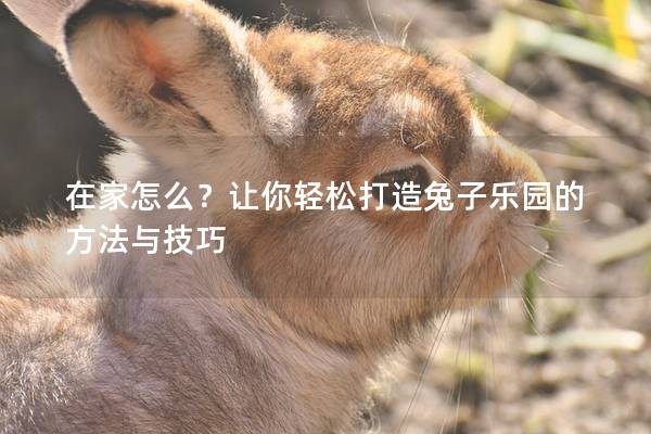 在家怎么？让你轻松打造兔子乐园的方法与技巧