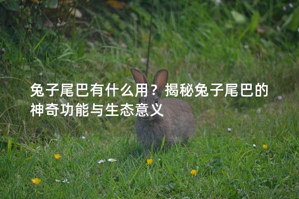 兔子尾巴有什么用？揭秘兔子尾巴的神奇功能与生态意义