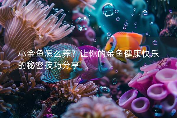 小金鱼怎么养？让你的金鱼健康快乐的秘密技巧分享