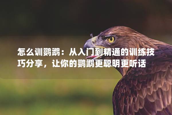 怎么训鹦鹉：从入门到精通的训练技巧分享，让你的鹦鹉更聪明更听话