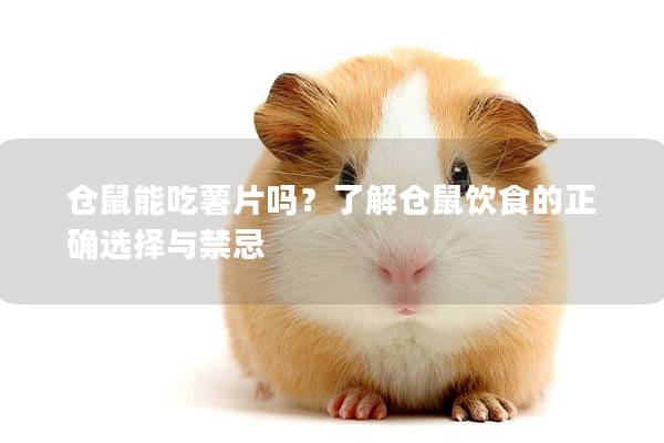 仓鼠能吃薯片吗？了解仓鼠饮食的正确选择与禁忌