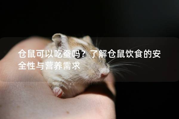 仓鼠可以吃蚕吗？了解仓鼠饮食的安全性与营养需求