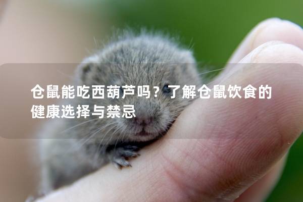 仓鼠能吃西葫芦吗？了解仓鼠饮食的健康选择与禁忌