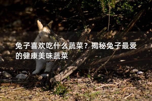 兔子喜欢吃什么蔬菜？揭秘兔子最爱的健康美味蔬菜