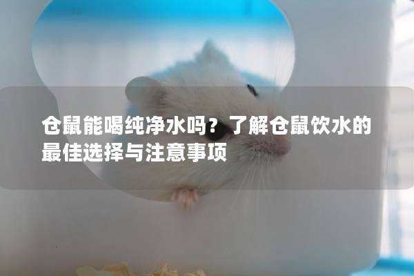 仓鼠能喝纯净水吗？了解仓鼠饮水的最佳选择与注意事项