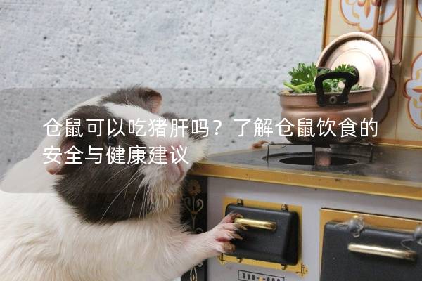 仓鼠可以吃猪肝吗？了解仓鼠饮食的安全与健康建议
