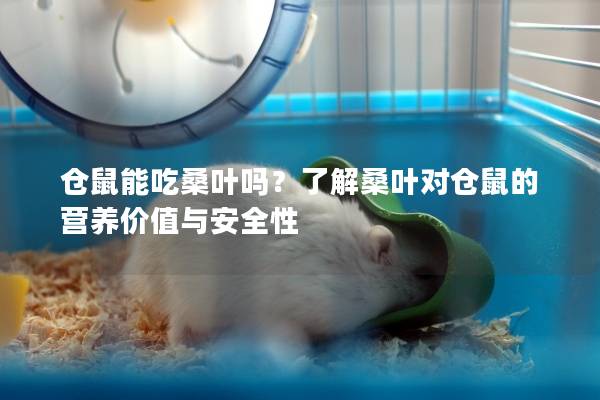仓鼠能吃桑叶吗？了解桑叶对仓鼠的营养价值与安全性