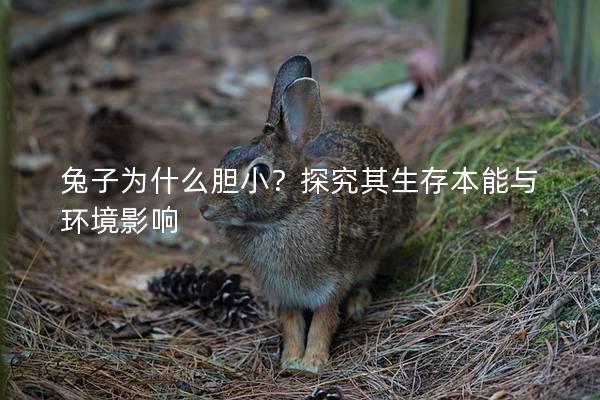 兔子为什么胆小？探究其生存本能与环境影响
