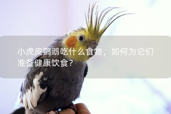 小虎皮鹦鹉吃什么食物，如何为它们准备健康饮食？