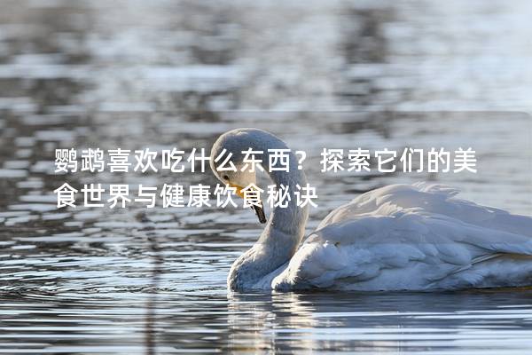 鹦鹉喜欢吃什么东西？探索它们的美食世界与健康饮食秘诀